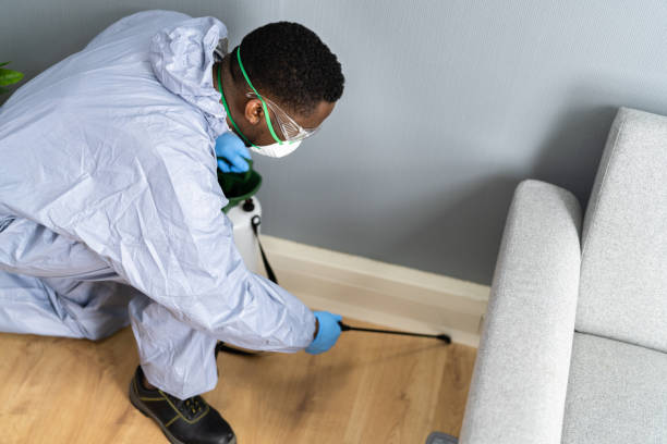 Best Pest Exclusion Services  in Rutledge, GA